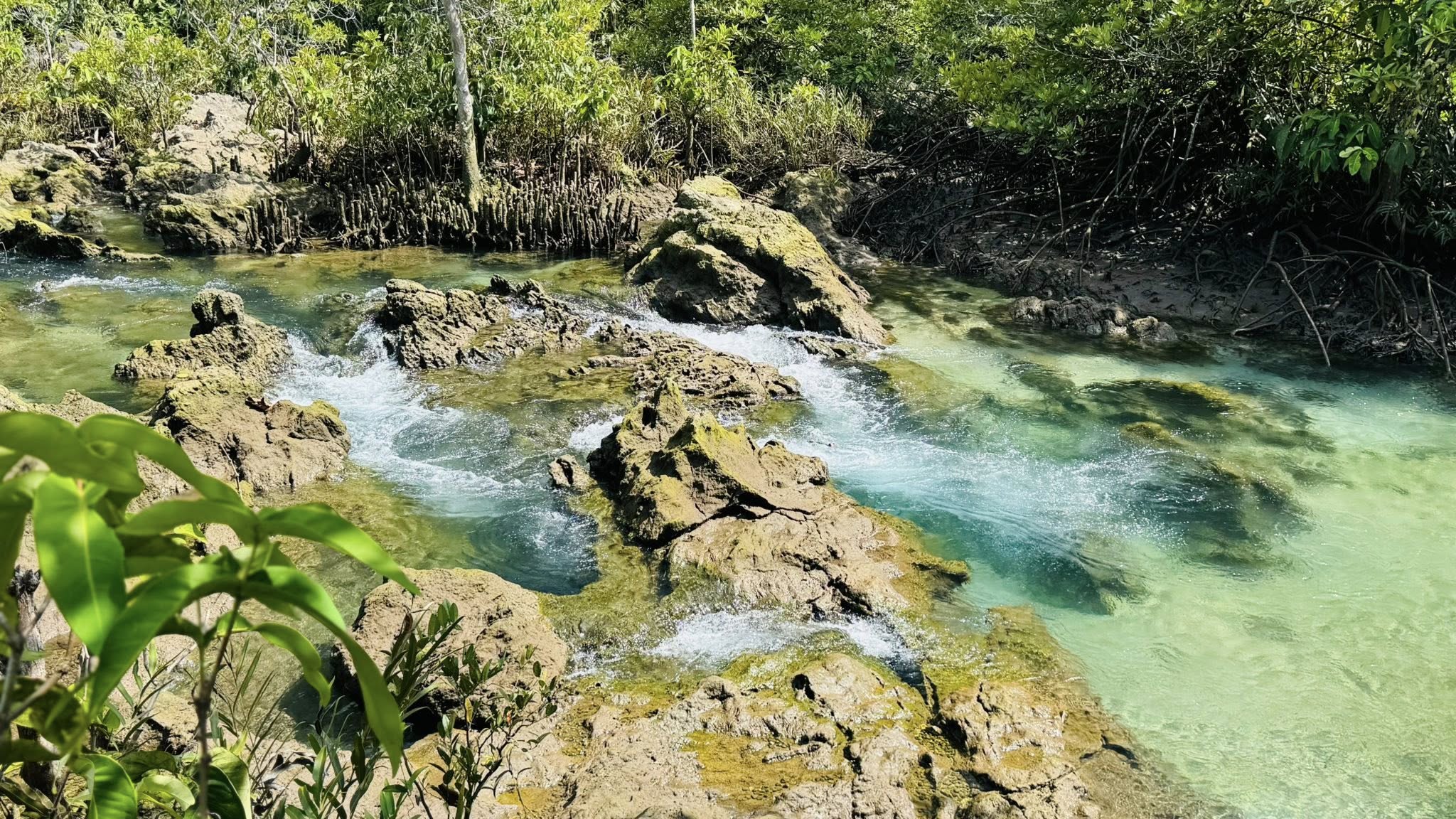ทริปกระบี่ หมู่เกาะพีพี