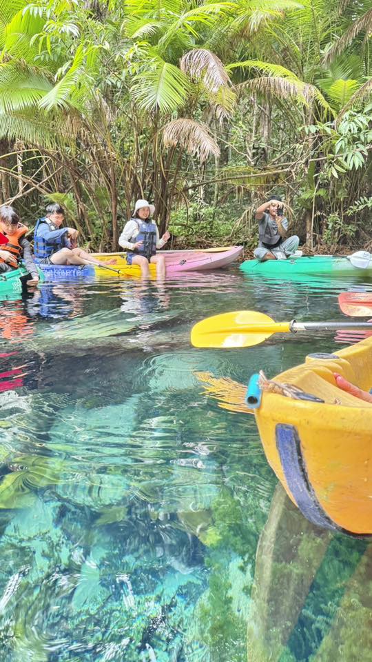 ทริปกระบี่ หมู่เกาะพีพี