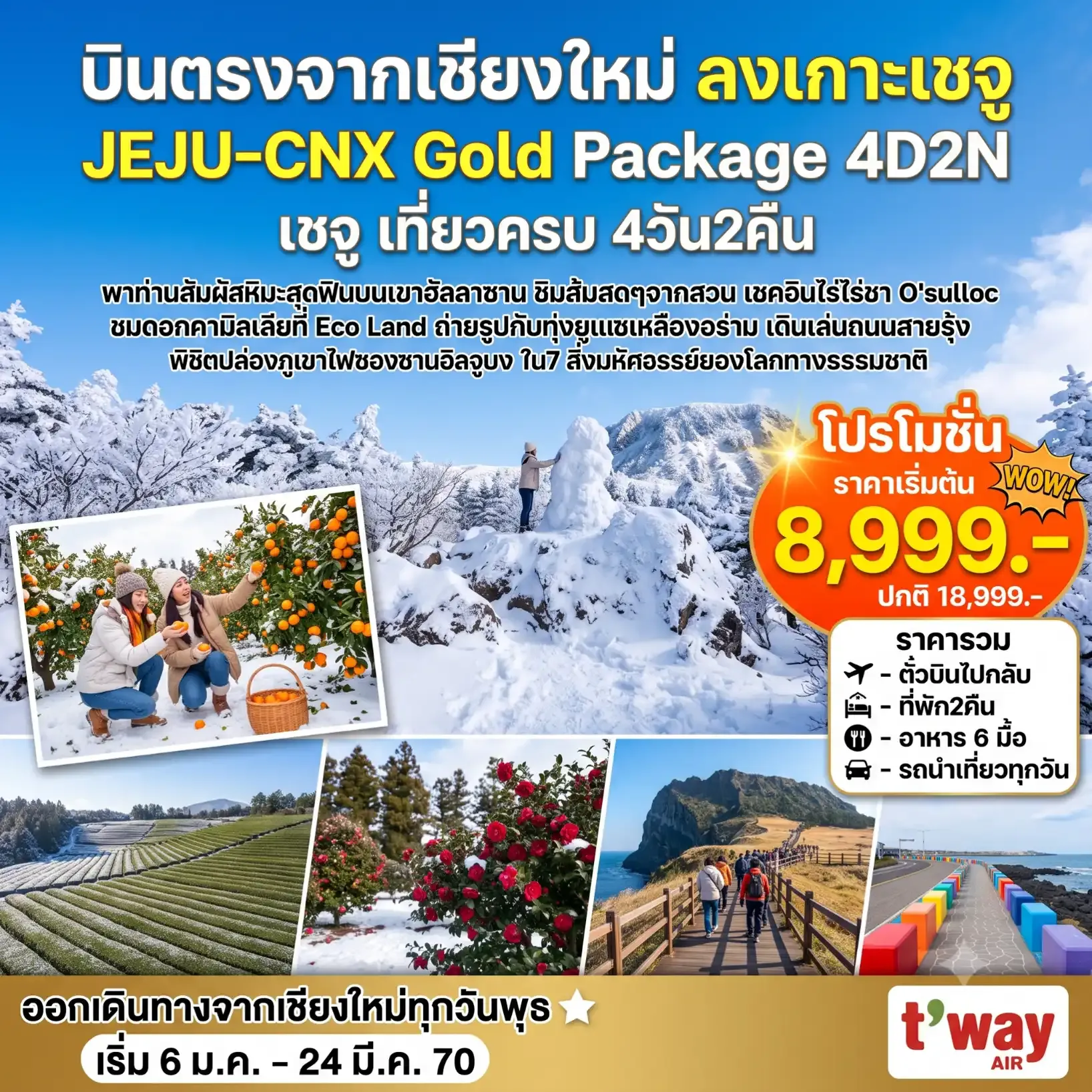 ทัวร์เกาหลี เชจู Jeju Gold Package Winter  *บินตรงเชียงใหม่* 4วัน 2คืน (TW)